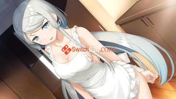 Konachan.com - 303972 apron aqua_eyes breasts cleavage cube game_cg gray_hair kantoku long_hair naked_apron ponytail sideboob techgirl tsukuyomi__kamikimi_.png