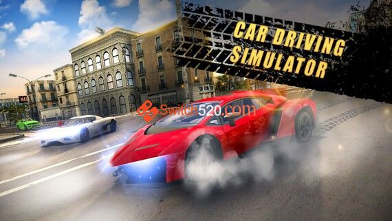 H2x1_NSwitchDS_CarDrivingSimulator_image1600w.jpg